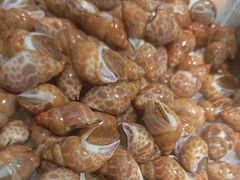 -千滋百味自助海鲜烤肉(布吉景华店)