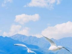 -海埂大坝