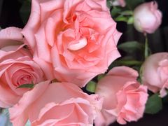 -雪蔓之鲜花气球派对(家佳源时代中心店)