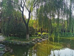 -木塔寺遗址生态公园