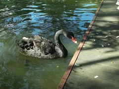 -海南热带野生动植物园