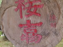 -大新明仕山庄