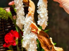 -蟹犇前•帝王蟹雪蟹(陆家嘴店)