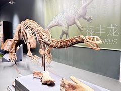 -遇见博物馆(遇见海洋沉浸式奇幻光影展)