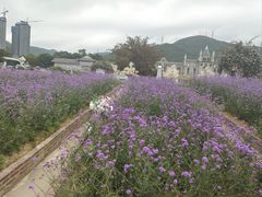 -玫瑰海岸文化旅游度假区