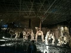 -世界恐龙谷景区