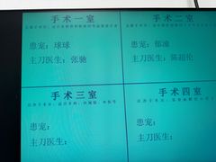 -北京观赏动物医院·24小时大型综合·猫专科·异宠专科