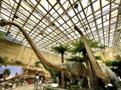 -国家自然博物馆