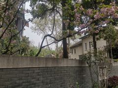 -颐和路民国时期公馆风貌区