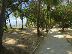 -东寨港红树林旅游区