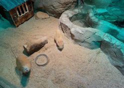 点击看大图 -酷嗒动物文化乐园(cutezoo西溪乐天城店)