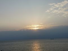 -枸杞岛