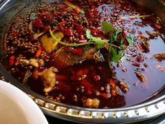 -麻辣巅峰美蛙鱼头火锅(犀浦店)