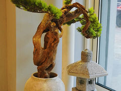 -王守财小山園