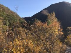 -灵山
