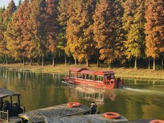 -溱湖国家湿地公园