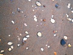 -南戴河国际娱乐中心