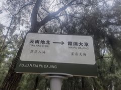 -大京沙滩