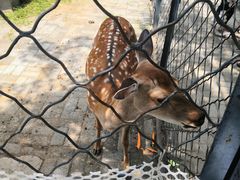 -长白岛森林公园