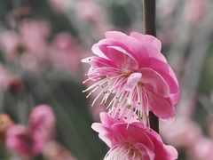 -宁波市保国寺古建筑博物馆