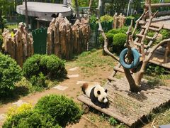 -大连森林动物园