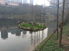 -重庆彩云湖湿地公园