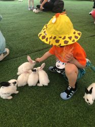 -萌宠亲子动物乐园(槐房万达店)