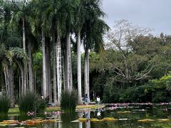 -中国科学院西双版纳热带植物园