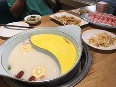 -青瓷火锅料理(西单大悦城店)