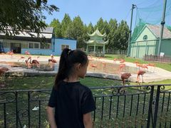 -秦皇岛野生动物园