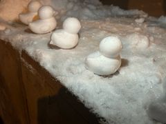 -金谷园饺子馆(北邮总店)