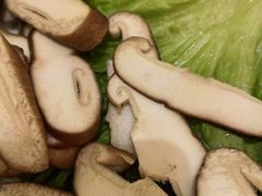 -君邦火锅(新疆大厦店)