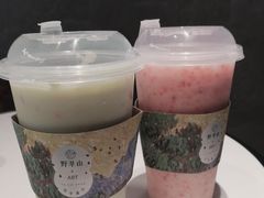 -野萃山·潮汕厚果汁(十亩地店)