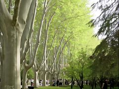 -郑州植物园
