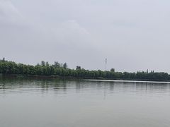 -溱湖国家湿地公园