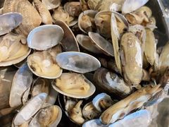-四海蒸鲜蒸汽海鲜自助(北戴河店)