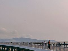 -深圳湾公园(南山区)
