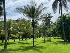 -中国科学院西双版纳热带植物园
