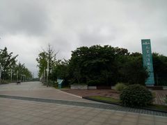 -九里河湿地公园
