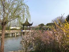 -苏州上方山国家森林公园