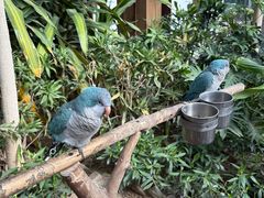 -南宫五洲植物乐园