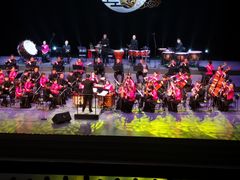 -顺德演艺中心大剧院