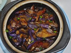 -全乐鱼馆·淳牌有机鱼直营店