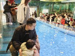 -芜湖新华联大白鲸海洋公园