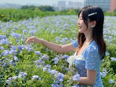 -光明小镇欢乐田园
