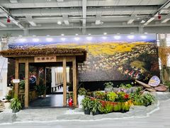 -东平国家森林公园