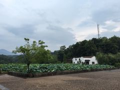 -清漾毛氏文化村