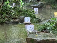 -中国茶叶博物馆(双峰馆区)