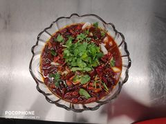 -天鹅到家·保姆月嫂育儿嫂(总店)