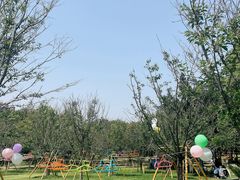 -白鹭洲公园